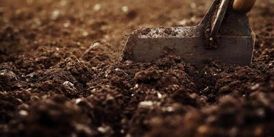 Close-Up of a Gardening Trowel Digging into Rich, Dark Soil in a Sunlit Garden, Capturing the Essence of Outdoor Gardening and Soil Preparation Essentials photo