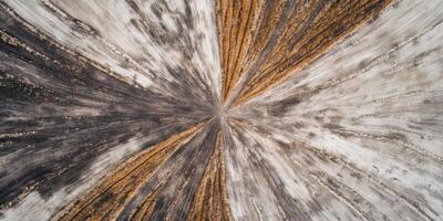 Aerial View of Abstract Landscape Featuring Contrasting Patterns of Textured Earth, Dark Soil, and Vibrant Orange Lines Intersecting Amidst Natural Background photo
