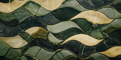 Aerial View of Wavy Agricultural Fields with Varying Shades of Green and Yellow Patterns in a Scenic Landscape Capturing Nature's Beauty photo