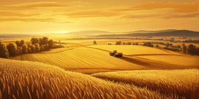 Scenic Sunrise Over Wheat Field with Tractor in Golden Light, Capturing Rural Landscape Beauty and Agricultural Serenity, Perfect for Nature Themes photo