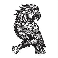 Graphic image of a parrot silhouette vector