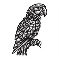 With its monochromatic wings stretched wide, the tropical parrot soars to its owner. Black ink sketch on a white backdrop, simple and simplistic The Pro Illustrator vector