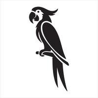 Graphic image of a macaw silhouette vector