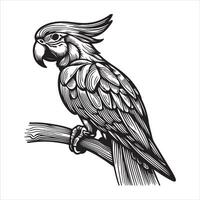 A sketch of a parrot perched on a flower-adorned branch vector