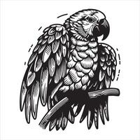 A simple monochrome graphic picture of a parrot Creating a minimalist silhouette tattoo icon illustration vector