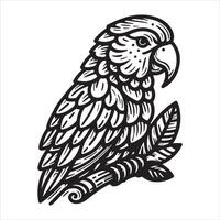 An illustration of a bird in black and white with a black outline vector
