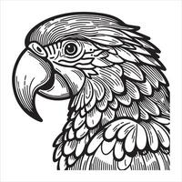 A realistic engraving of a parrot in dark white and gray on a wooden post vector