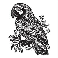 An antique engraved ink sketch of an isolated parrot pair. Background bird art of parakeets vector