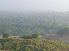 Forest scenery with animals on the hill and green fields photo