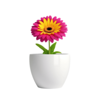 Vibrant Pink and Yellow Flower in a White Pot Transparent Background png