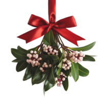 Mistletoe with Red Ribbon, Isolated on Transparent Background, High-Resolution Stock Image png