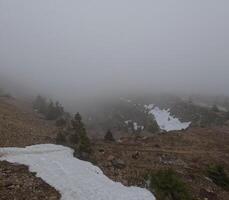 Spring, heavy fog and melting snow in the mountains. Poland, Jizera Mountains photo