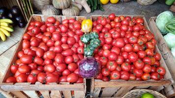 Close Up red fresh tomatoes in wooden crates for sale in a traditional market photo