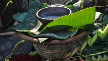 Serabi traditional pancake with Coconut Milk Sauce photo