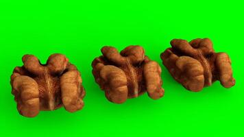walnuts with green background photo
