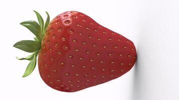 strawberry with white background photo