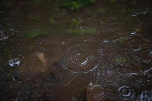 a rain droplet is on a table with a leaf in the middle. photo