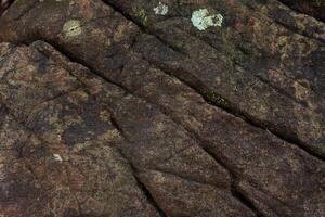 natural stone texture in tropical forest photo