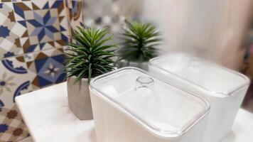 Minimalist Bathroom Decor with Concrete Planter and Patterned Ceramic Tiles. A stylish and modern setup featuring a green plant in a concrete pot alongside intricate geometric tile patterns. photo
