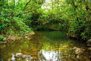 Relaxing Smooth Stream Rolling Through Rainforest on Maui, Hawaii photo