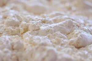 quark - a close-up view of the texture of cottage cheese mass in making organic curd photo