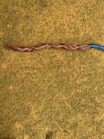 blue cable with stripped copper core on yellow floor photo