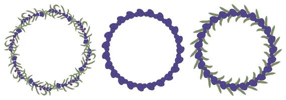 Circular frames are decorated with olives and leaves, creating a natural and elegant design vector