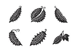 Bitter Gourd icon set Illustration. Fresh bitter gourd icon silhouette white background. vector