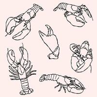 Lobster illustrations, line art in doodle style vector