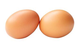 Top view of two brown chicken eggs in stack isolated on white background with clipping path photo