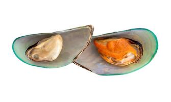 Top view of cooked or steamed green mussels isolated on white background with clipping path photo