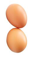 Top view of two brown chicken eggs in stack isolated on white background with clipping path photo