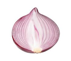 Top view of big red or purple onion bulb in half isolated on white background with clipping path photo