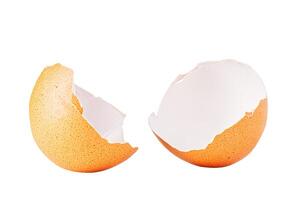 Egg shell isolated on white. Broken chicken egg shell isolated on white photo