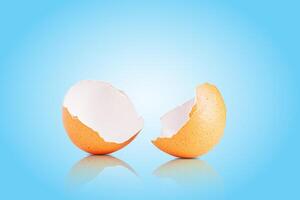 Egg shell isolated on white. Broken chicken egg shell isolated on light blue background photo