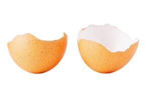 Egg shell isolated on white. Broken chicken egg shell isolated on white photo