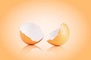 Egg shell isolated on white. Broken chicken egg shell isolated on brown photo