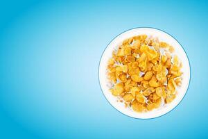 Bowl of sweet cornflakes with milk isolated on bllue background, top view. Corn flakes with milk splashes on bllue photo