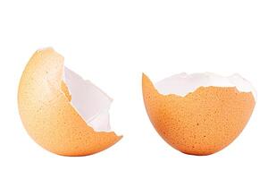 Egg shell isolated on white. Broken chicken egg shell isolated on white photo