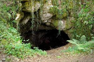 Enter to cave in green forest in National Park, Croatia. View of the entrance to the cave photo