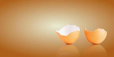 Egg shell isolated on white. Broken chicken egg shell isolated on brown photo