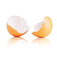 Egg shell isolated on white. Broken chicken egg shell isolated on white photo