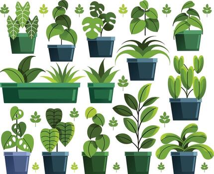 Houseplant Elements Illustration vector