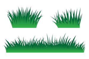 Set of realistic fresh green grass illustrations isolated on white background vector
