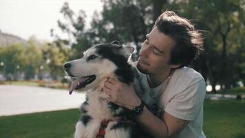 Man caressing Husky dog and sitting on grass in park during stroll. Stock . video
