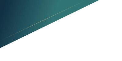 geometric luxury corner background vector