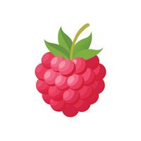 EPS 10 . A raspberry isolated on white background made in simple style. Flat berry. Good for projects. vector