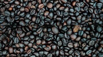 Roasted black coffee robusta beans food concept photo