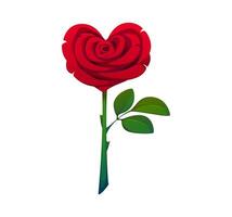 Heart shaped red rose flowers on stem with a leaf vector