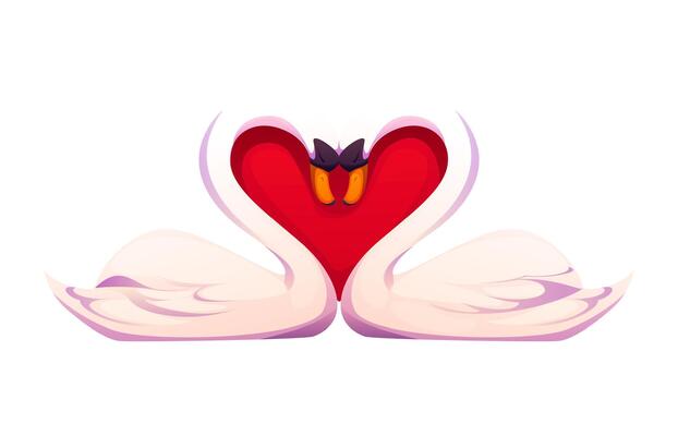 Two elegant swans creating heart shape with necks